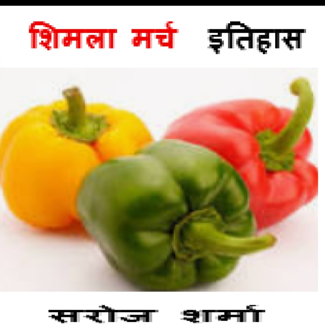 Screenshot_20251024_201525_Gmail