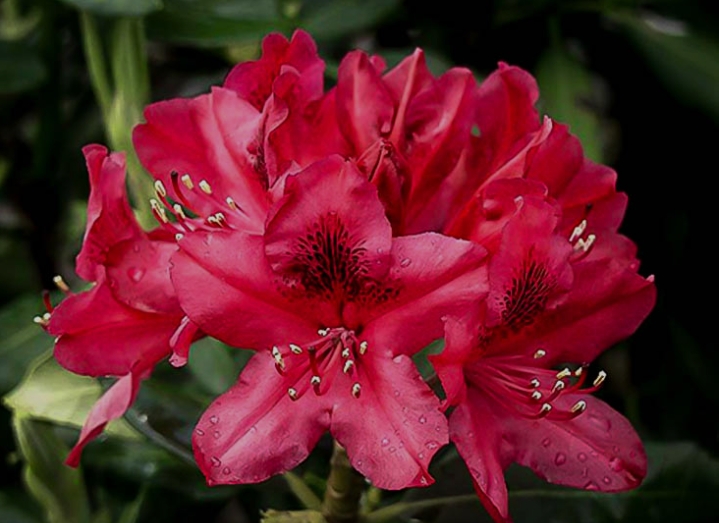 Screenshot_2025-11-13-14-11-45-37_40deb401b9ffe8e1df2f1cc5ba480b12