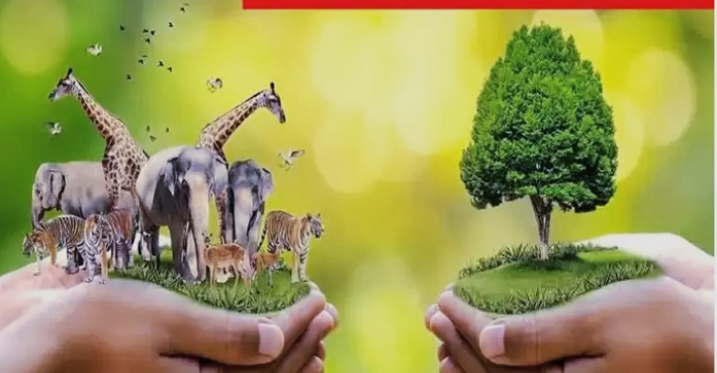 Screenshot_2025-11-19-13-51-32-36_40deb401b9ffe8e1df2f1cc5ba480b12