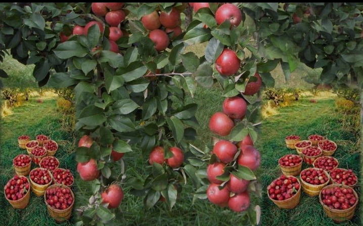 Screenshot_2025-11-28-13-18-09-06_40deb401b9ffe8e1df2f1cc5ba480b12