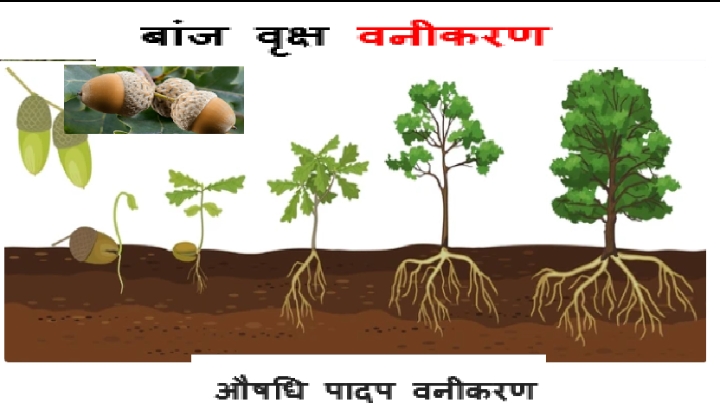 Screenshot_2025-12-27-14-26-10-08_e307a3f9df9f380ebaf106e1dc980bb6