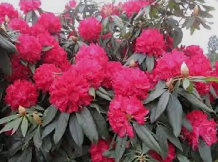 Screenshot_2026-02-05-21-21-56-29_40deb401b9ffe8e1df2f1cc5ba480b12