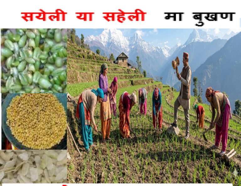 Screenshot_2026-04-07-12-53-29-83_e307a3f9df9f380ebaf106e1dc980bb6