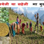 Screenshot_2026-04-08-19-20-14-59_6012fa4d4ddec268fc5c7112cbb265e7