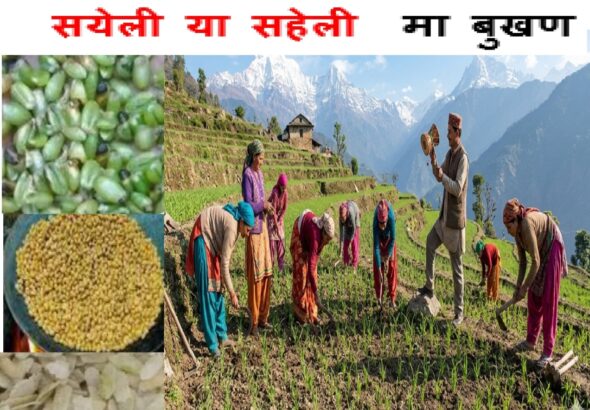 Screenshot_2026-04-08-19-20-14-59_6012fa4d4ddec268fc5c7112cbb265e7