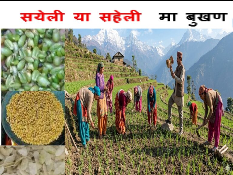 Screenshot_2026-04-08-19-20-14-59_6012fa4d4ddec268fc5c7112cbb265e7